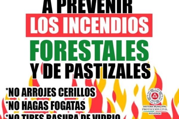 El municipio de Rioverde tiene alerta roja en materia forestal.