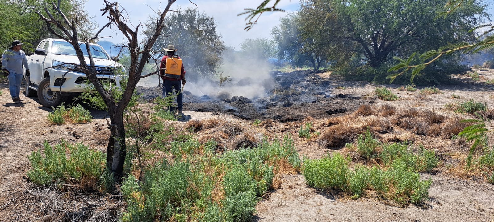 GOBIERNO ESTATAL MANTIENE COMBATE A INCENDIOS FORESTALES
