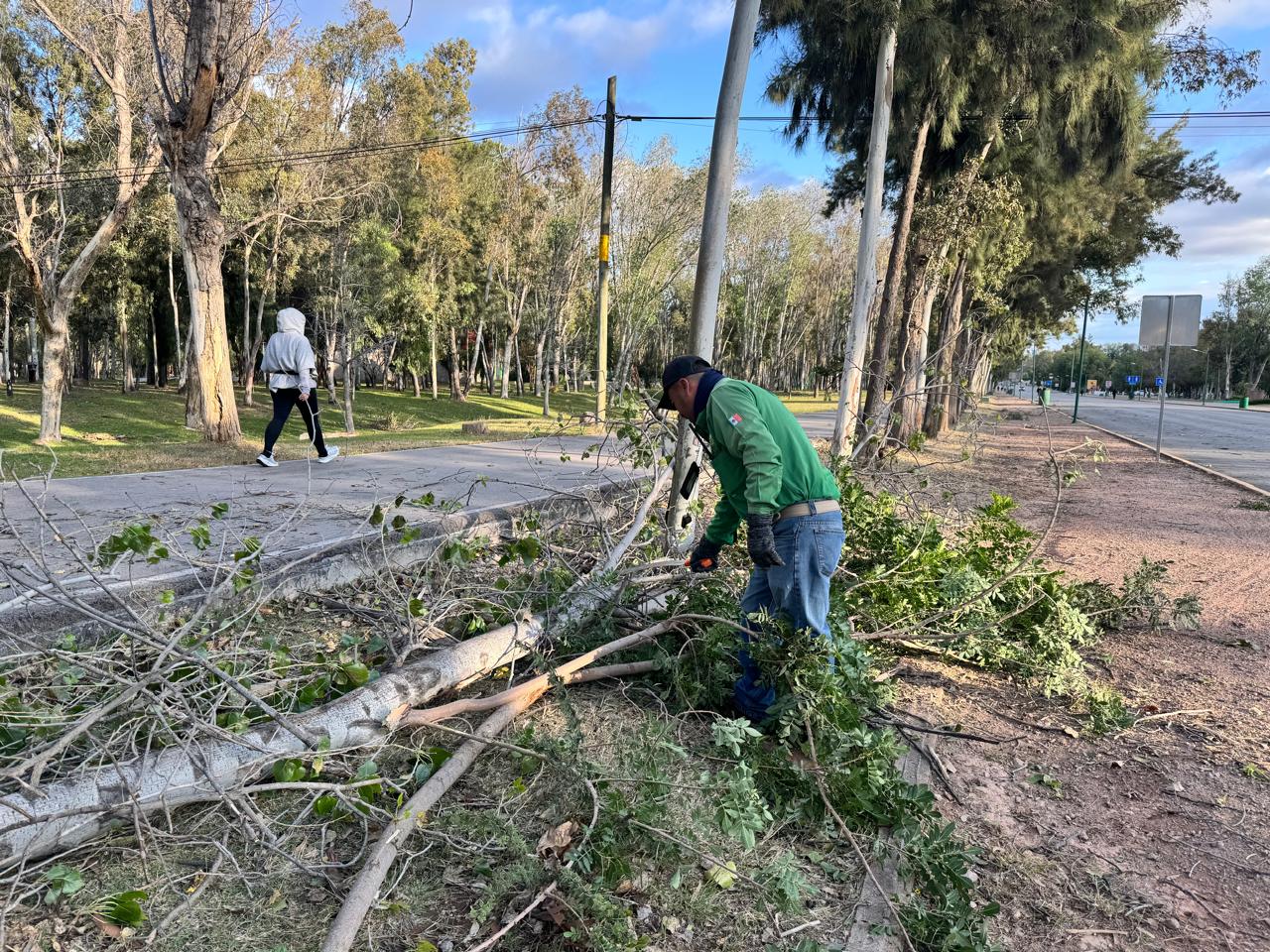 GOBIERNO DEL ESTADO ATIENDE AFECTACIONES EN LOS TANGAMANGA POR FUERTES VIENTOS