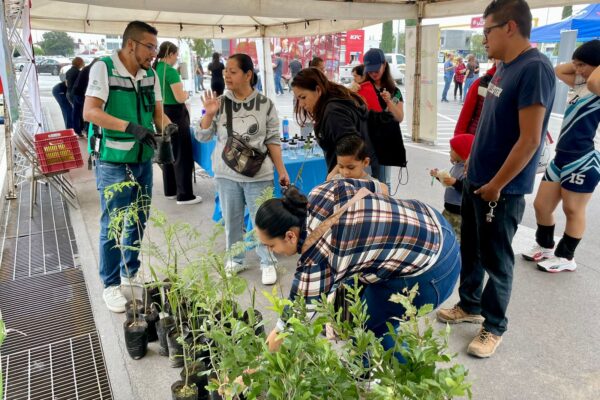 ESTADO CONMEMORA DÍA DEL ÁRBOL CON JORNADA DE RECICLAJE Y REFORESTACIÓN