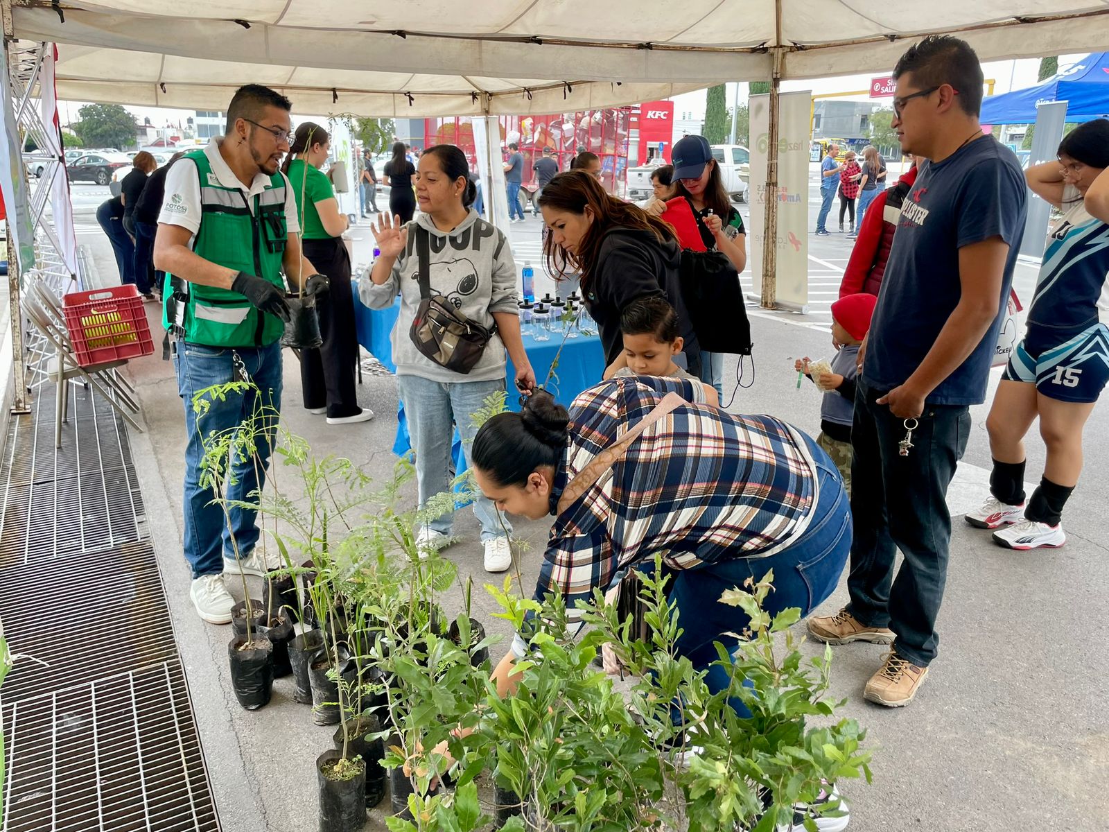 ESTADO CONMEMORA DÍA DEL ÁRBOL CON JORNADA DE RECICLAJE Y REFORESTACIÓN