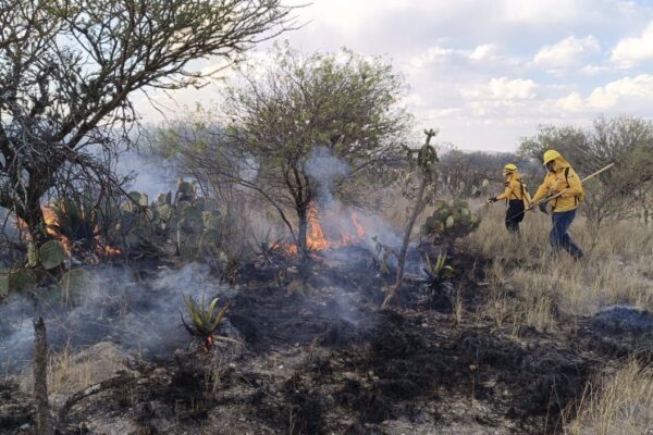 GOBIERNO ESTATAL REFUERZA ACCIONES ANTE TEMPORADA CRÍTICA DE INCENDIOS
