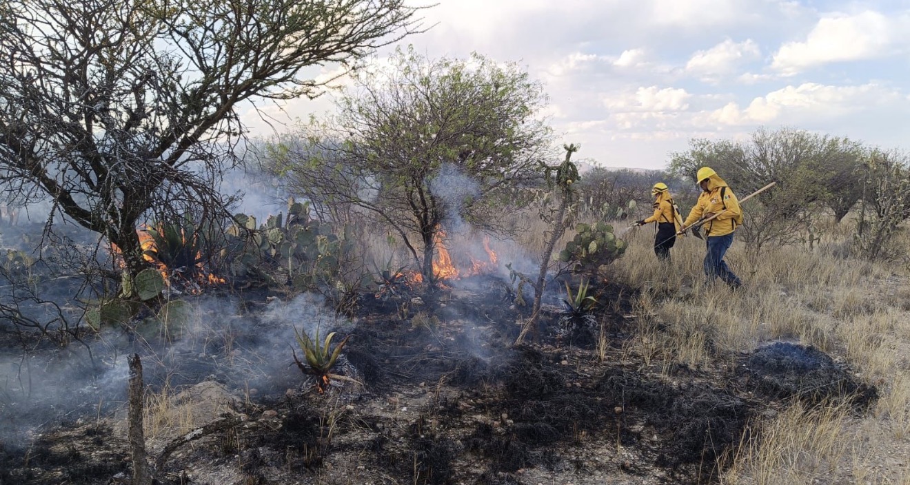 GOBIERNO ESTATAL REFUERZA ACCIONES ANTE TEMPORADA CRÍTICA DE INCENDIOS