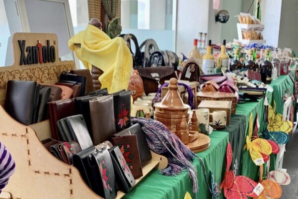 SAN LUIS DESTACA EN LA SEMANA CULTURAL EN EL SENADO DE LA REPÚBLICA