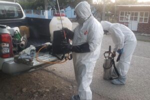 ESTADO REFUERZA PREVENCIÓN CONTRA GUSANO BARRENADOR