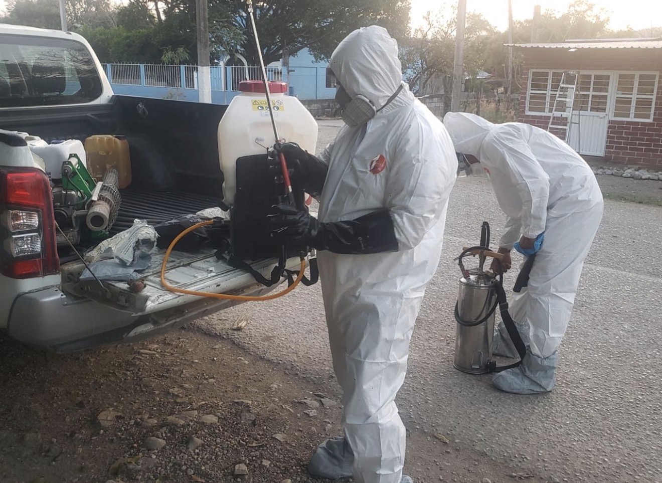 ESTADO REFUERZA PREVENCIÓN CONTRA GUSANO BARRENADOR