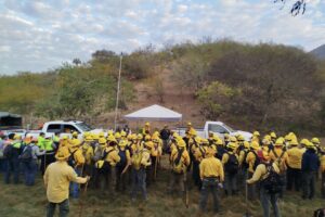 ESTADO AVANZA EN CONTROL DE INCENDIO EN CIUDAD DEL MAÍZ