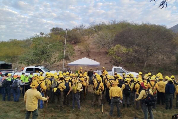 ESTADO AVANZA EN CONTROL DE INCENDIO EN CIUDAD DEL MAÍZ