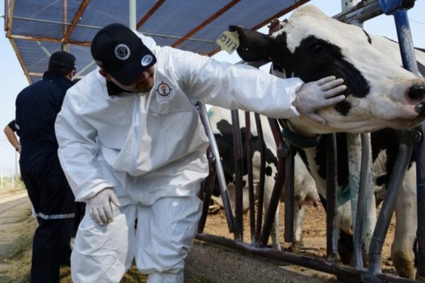 ESTADO REFUERZA PREVENCIÓN DE GUSANO BARRENADOR EN PERSONAS