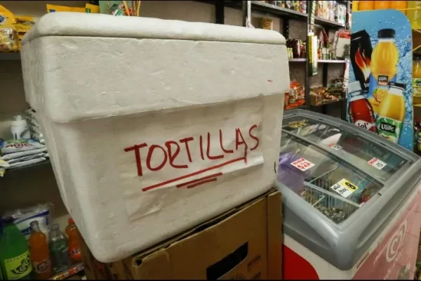 Profeco analiza sancionar venta de tortillas en hieleras en México; en Tamaulipas ya aplican multas millonarias
