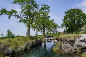 GOBIERNO ESTATAL IMPULSA PROTECCIÓN AL MANANTIAL LOS PEROLES