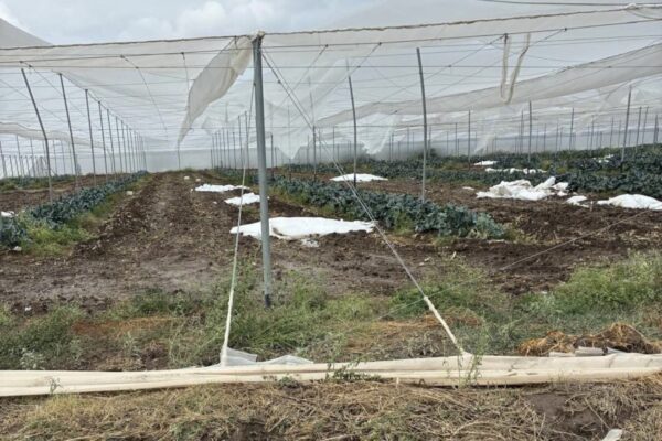 GOBIERNO ESTATAL ACTÚA ANTE DAÑOS POR TROMBA EN LA CAPITAL Y VILLA DE ARISTA