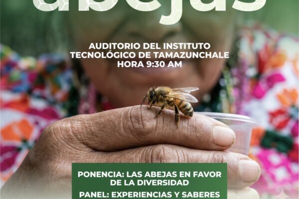 GOBIERNO ESTATAL IMPULSA CELEBRACIÓN DEL DÍA MUNDIAL DE LAS ABEJAS