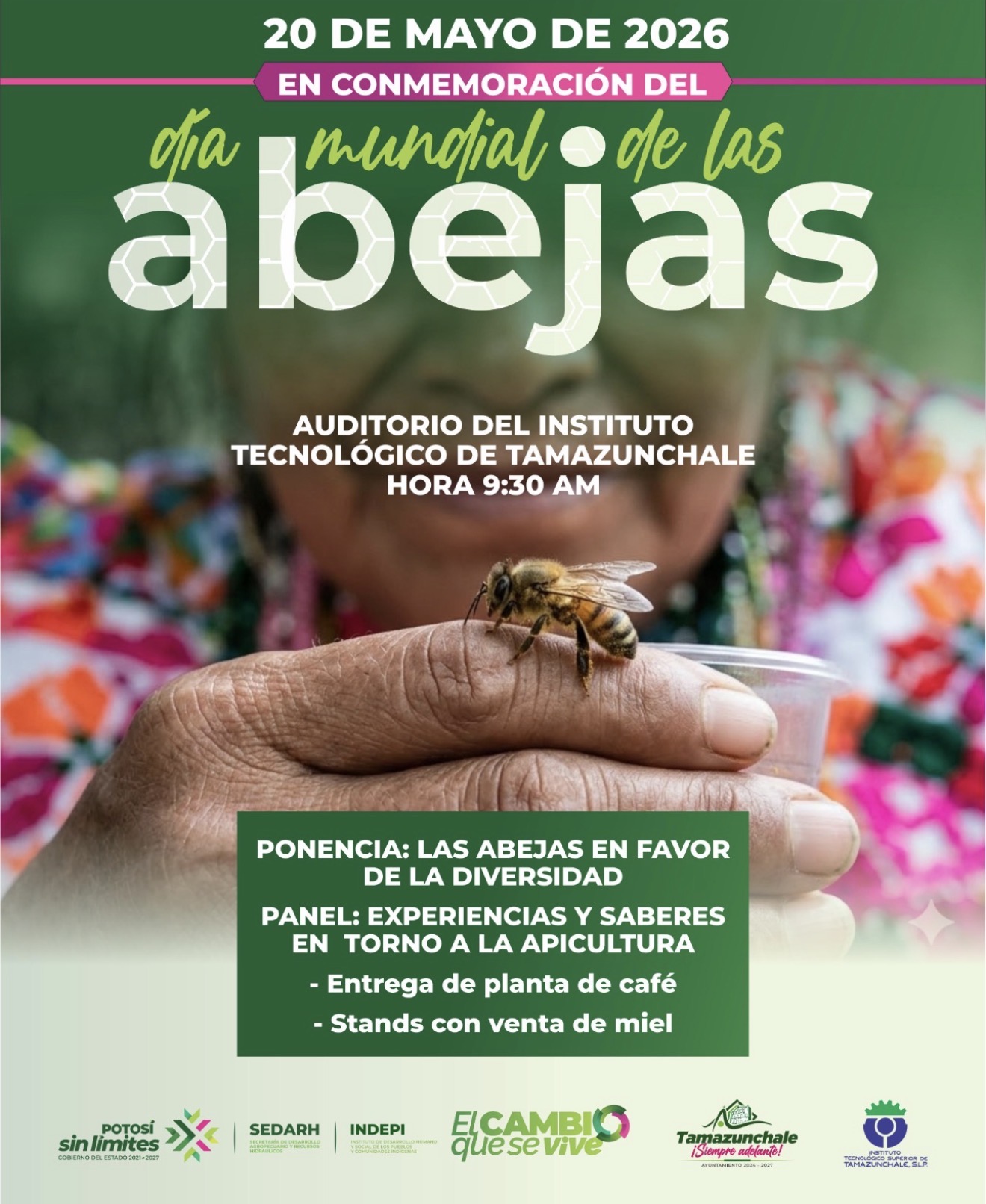 GOBIERNO ESTATAL IMPULSA CELEBRACIÓN DEL DÍA MUNDIAL DE LAS ABEJAS