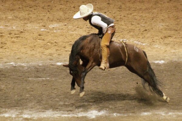 RG2 B debutó en el Nacional Charro San Luis Potosí